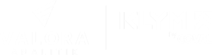 logo-valora-analitik-klym-negative
