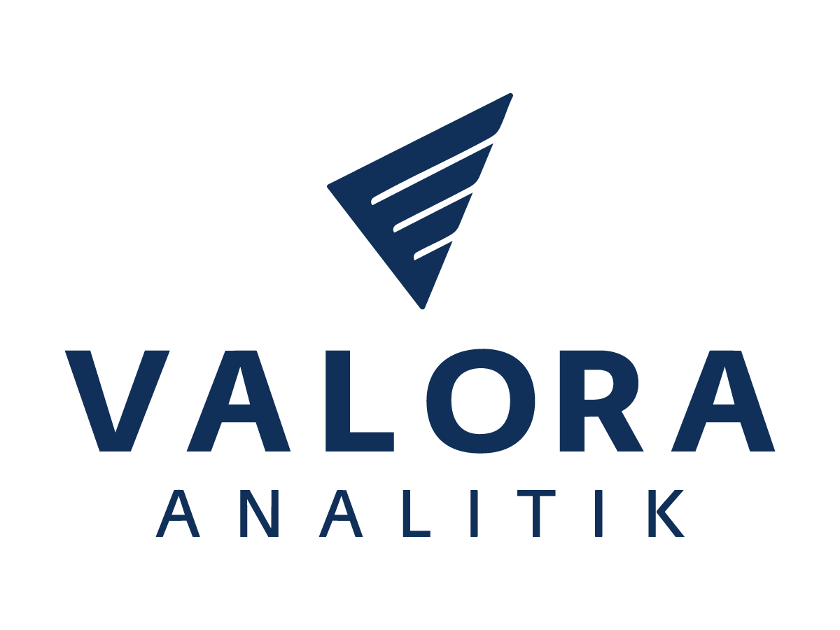 logo-valora-analitik